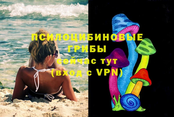 шишки Абинск
