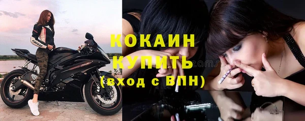 шишки Абинск