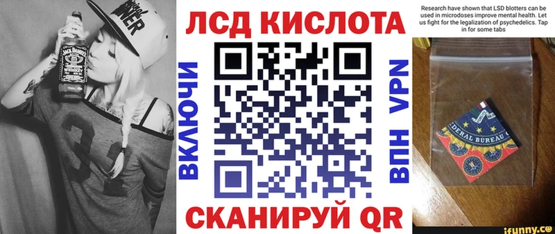 где купить наркоту  Жердевка  Наркотические марки 1500мкг 