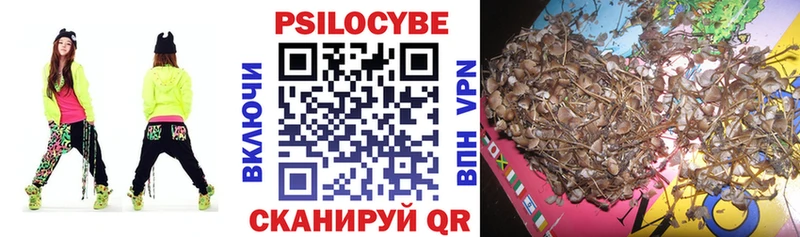 даркнет сайт  Жердевка  ОМГ ОМГ онион  Галлюциногенные грибы MAGIC MUSHROOMS 
